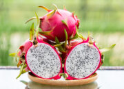 Manfaat Buah Naga Merah Untuk Kesehatan Wajah, Pria dan Bayi