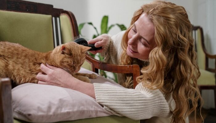 Panduan Lengkap Cara Merawat Kucing Untuk Pemilik Pemula