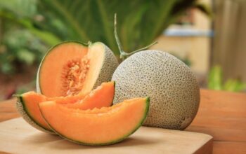 Rahasia Sehat dari Buah Melon: Ampuh Atasi Asam Lambung, Kolesterol, hingga Kulit Glowing!