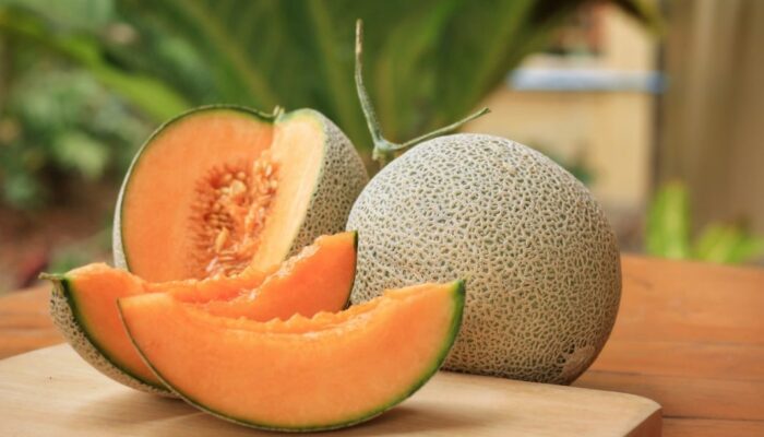 Rahasia Sehat dari Buah Melon: Ampuh Atasi Asam Lambung, Kolesterol, hingga Kulit Glowing!