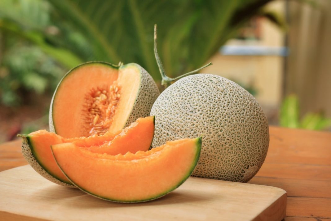 Rahasia Sehat dari Buah Melon: Ampuh Atasi Asam Lambung, Kolesterol, hingga Kulit Glowing!