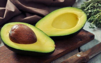 Manfaat Buah Alpukat Untuk Ibu Hamil, Menyusui, Bayi, Serta Wajah