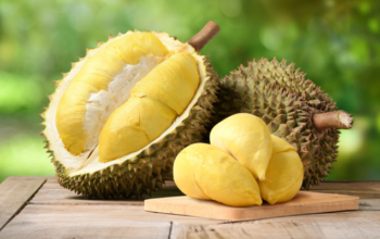 Rahasia Raja Buah: Mengupas Tuntas Manfaat Durian untuk Kesehatan Pria, Wanita, dan Ibu Hamil