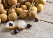 Si Kecil Manis yang Ajaib! Manfaat Kelengkeng untuk Kesehatan Keluarga Bunda