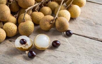 Si Kecil Manis yang Ajaib! Manfaat Kelengkeng untuk Kesehatan Keluarga Bunda