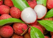 Bukan Cuma Manis! Inilah 8 Manfaat Leci bagi Kesehatan Keluarga