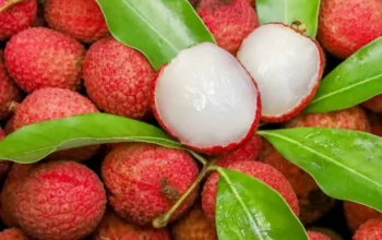 Bukan Cuma Manis! Inilah 8 Manfaat Leci bagi Kesehatan Keluarga