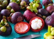 Rahasia Awet Muda Tersembunyi di Kulit Ungu! Inilah Keajaiban Manggis untuk Bunda