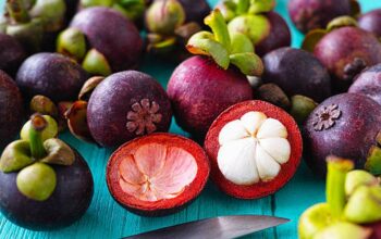 Rahasia Awet Muda Tersembunyi di Kulit Ungu! Inilah Keajaiban Manggis untuk Bunda