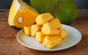 Wanginya Memikat, Khasiatnya Mengejutkan! Rahasia Besar di Balik Buah Nangka