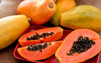 Manfaat Buah Pepaya untuk Kesehatan, Wajah, dan Ternak Ayam