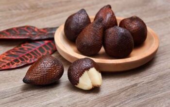 Salak Bukan Sekadar Buah! Ini Manfaat Ajaib untuk Bunda