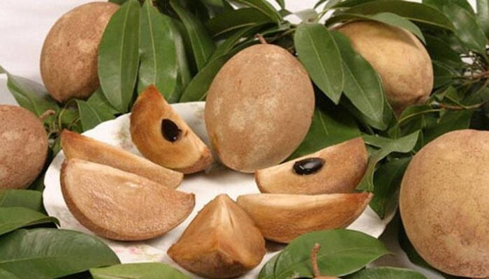 Bunda, Jangan Skip Buah Ini! Ini Rahasia Awet Muda dan Sehat dari Sawo Manis