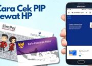 Cara Cek PIP Kemdikbud GO ID 2026 dan Bansos Kemensos HP
