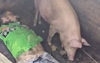 Kecelakaan Maut di Medan Denai: Driver Ojol Tewas Tertabrak Kereta