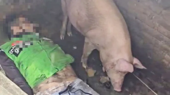 Kecelakaan Maut di Medan Denai: Driver Ojol Tewas Tergilas Kereta Api