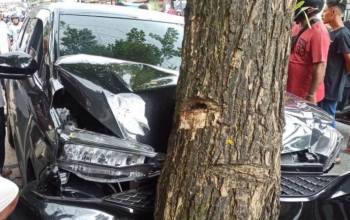 Kecelakaan Maut di Wonogiri Hari Ini: Penumpang Tewas Terjepit Truk Hantam Pohon