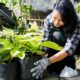 Manfaat Berkebun untuk Kesehatan Mental: Ketenangan
