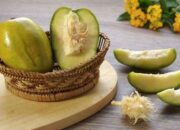 Rahasia Sehat Buah Kedondong: Dari Olahan Manisan Hingga Biji!