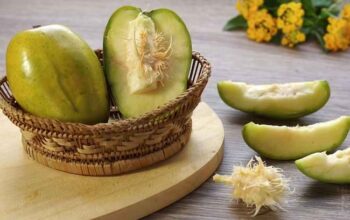 Rahasia Sehat Buah Kedondong: Dari Olahan Manisan Hingga Biji!