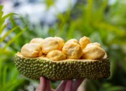 Rahasia Khasiat Buah Cempedak: Benarkah Lebih Sehat dari Nangka?