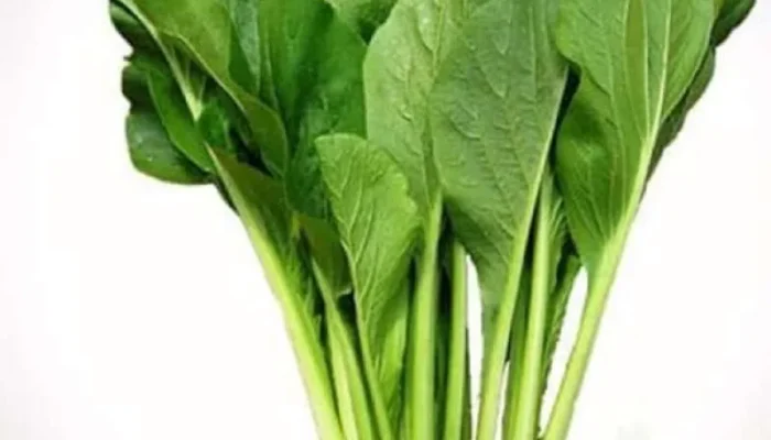 10 Manfaat Sayur Sawi untuk Kesehatan dan Tips Memasaknya