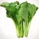 10 Manfaat Sayur Sawi untuk Kesehatan dan Tips Memasaknya