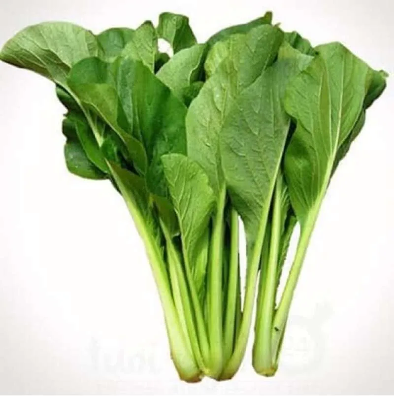 10 Manfaat Sayur Sawi untuk Kesehatan dan Tips Memasaknya