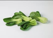 10 Manfaat Sayur Pakcoi untuk Kesehatan yang Luar Biasa