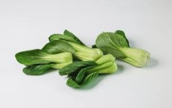 10 Manfaat Sayur Pakcoi untuk Kesehatan yang Luar Biasa