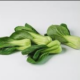 10 Manfaat Sayur Pakcoi untuk Kesehatan yang Luar Biasa
