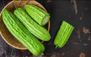 Rahasia Manfaat Sayur Pare untuk Kesehatan dan Gula Darah