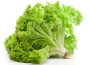 10 Manfaat Sayur Slada Air untuk Kesehatan yang Luar Biasa