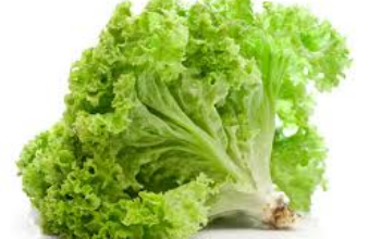 10 Manfaat Sayur Slada Air untuk Kesehatan yang Luar Biasa