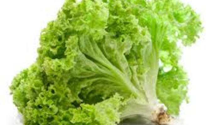 10 Manfaat Sayur Slada Air untuk Kesehatan yang Luar Biasa