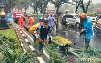 Kecelakaan Maut Bogor: Pengendara Motor Tewas Tertimpa Pohon Tumbang