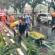 Kecelakaan Maut Bogor: Pengendara Motor Tewas Tertimpa Pohon Tumbang