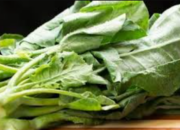 Rahasia Manfaat Sayur Kailan untuk Kesehatan Tubuh Anda