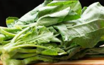 Rahasia Manfaat Sayur Kailan untuk Kesehatan Tubuh Anda