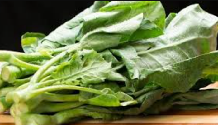 Rahasia Manfaat Sayur Kailan untuk Kesehatan Tubuh Anda