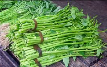 Rahasia Manfaat Sayur Kangkung untuk Kesehatan Tubuh Anda