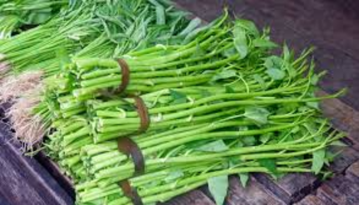 Rahasia Manfaat Sayur Kangkung untuk Kesehatan Tubuh Anda