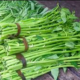 Rahasia Manfaat Sayur Kangkung untuk Kesehatan Tubuh Anda