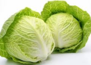 10 Manfaat Sayur Kol untuk Kesehatan yang Jarang Diketahui