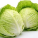10 Manfaat Sayur Kol untuk Kesehatan yang Jarang Diketahui