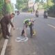 Tragedi Maut Puncak Bogor: Pemotor Tewas Tabrak Truk Saat One Way