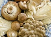 Rahasia Manfaat Sayur Jamur untuk Kesehatan Tubuh Anda
