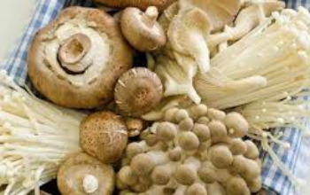 Rahasia Manfaat Sayur Jamur untuk Kesehatan Tubuh Anda