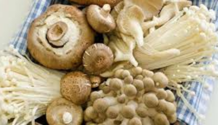 Rahasia Manfaat Sayur Jamur untuk Kesehatan Tubuh Anda