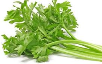 Keajaiban Sayur Seledri dalam Menjaga Tekanan Darah Anda